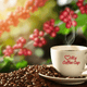 Illustration for article titled What You Don’t Know About Pure Kona Coffee Could Be Costing to More Than You Thinkem/em